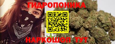 сатива Ливны