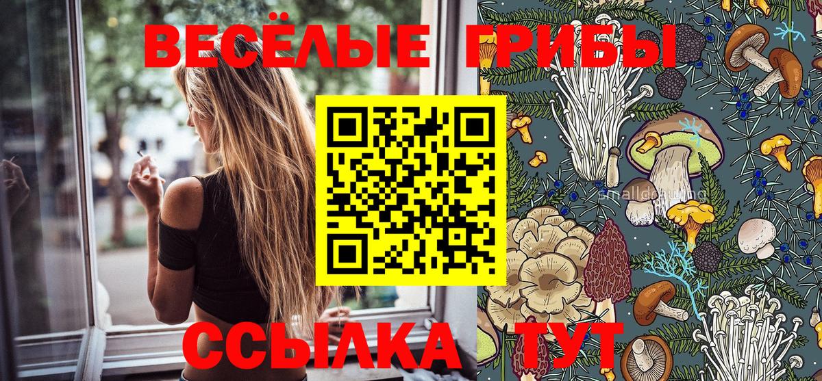Псилоцибиновые грибы MAGIC MUSHROOMS Чехов
