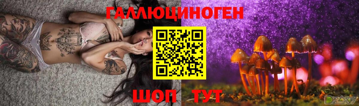 Псилоцибиновые грибы Psilocybe  магазин  наркотиков  Чехов  Вход с VPN 